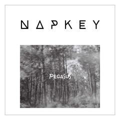 Napkey - Pegasus