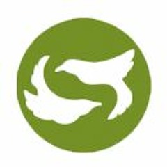 Silampukau - Puan Kelana