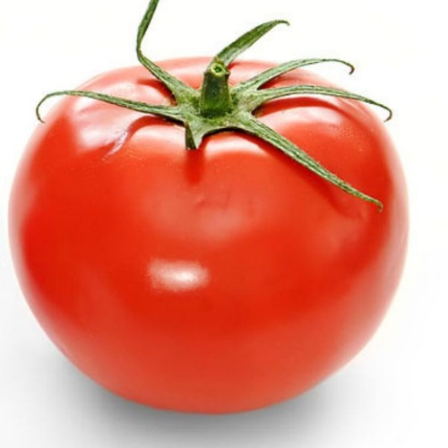 tomatenplukkers mp3