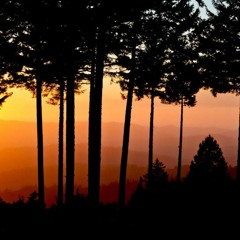 Ever After (Preview)