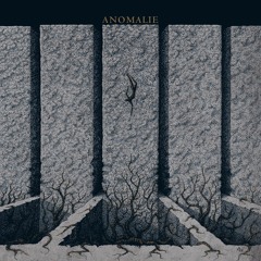 Anomalie - Freiflug 48° 23´ N, 16° 19’ O