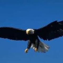 Don't Do It Without Me