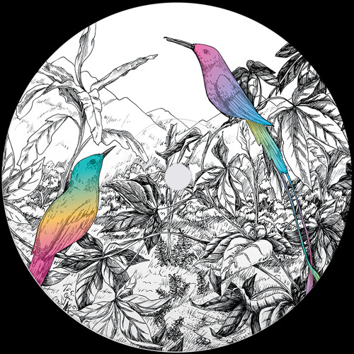 A Vision Of Panorama "New Horizons" - Boiler Room Debuts