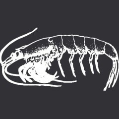 IS 248 - Espen Lauritzen & Area Phillips [Krill Music]