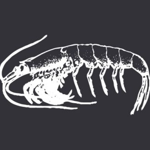 IS 248 - Espen Lauritzen & Area Phillips [Krill Music]