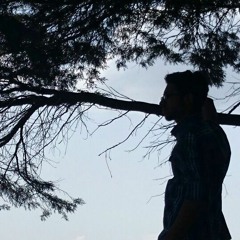 Ae Mere Humsafar - All Is Well (cover)