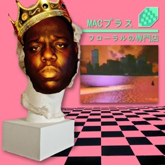 ビギー小のMAC10 - 現代のコンピュー