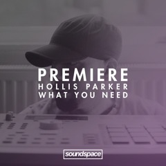 Premiere: Hollis Parker - What You Need (SoSure Music)
