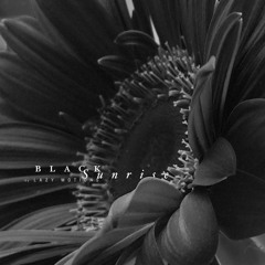 Black Sunrise By Lazy Motions