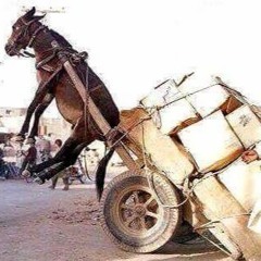 Th3 Hipster Holoc4ust - Glömde ciggen i bilen så nu måste jag gå ut i kallingar.