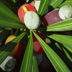 The Goodbye Look MIX.mp3