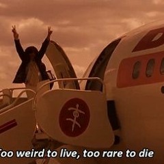 Too Weird To Live, Too Rare To Die