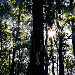 Missy Gì - Spirometro