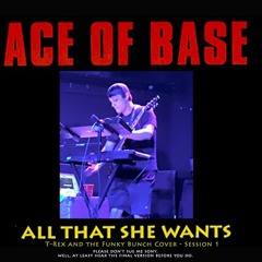 Ace of Base - All That She Wants (T-Rex and the Funky Bunch Cover - Session 1)