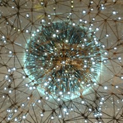 The Funky Professor's Dissertation of Dankness