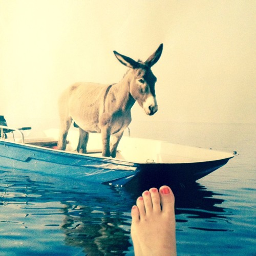 Feel The Moonrise Selection Rmx #2