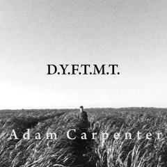 D.Y.F.T.M.T. (Did You Feel The Mountains Tremble)