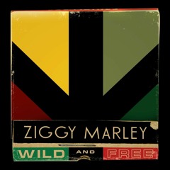 Reggae In My Head