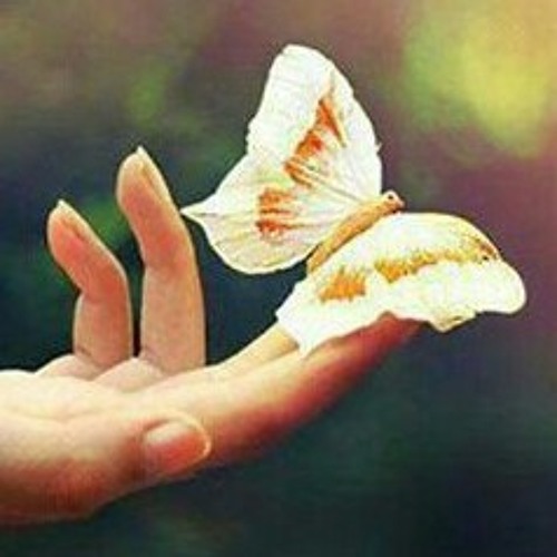 كل الجروح ليها دوا - على الحجــار -[ www.listmusics.com ].mp3