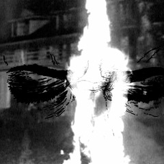 Unknown_life_form