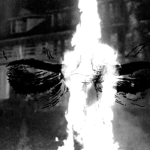 Unknown_life_form