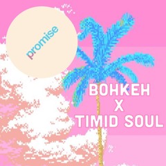Spazzkid - Promise (Bohkeh X Timid Soul Remix)