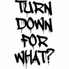 50 CENT-LIL JON ( Just A little bit-Turn down for what )