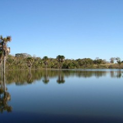 Água - feat. Julia Carvalho