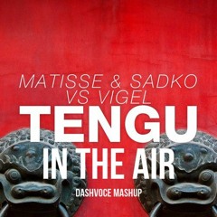 Matisse Sadko Vs Vigel VS TV Rock Ft. Rudy - In The Air - TENGU IN THE AIR (Dashvoce Mashup) Preview