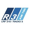 Entrevista al candidato Dante Bowen en Radio 3 - parte 1