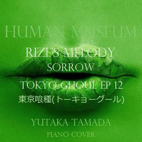 Yutaka Yamada - Sorrow, Rize's Melody EP 12, Tokyo Ghoul OST (Piano Cover)