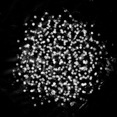 Worship Sounds Ambient Keys