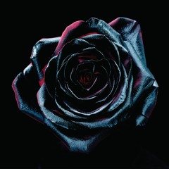 Even Angels Cry - Twitter Preview