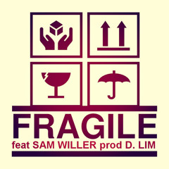 Fragile - feat Sam Willer (prod by DLIM)