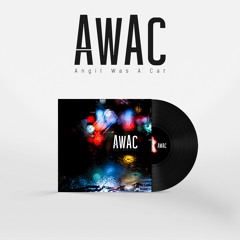 B01 - A million American years