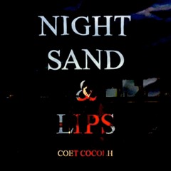 COET COCOEH - くちびるに砂 Night,Sand and Lips( REMIX)