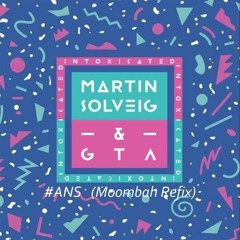 Martin Solveig & #ANS & GTA - Intoxicated (Moombahton ReFix)