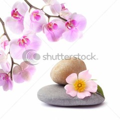 ရင္ဂို - ေတာင္ပံပါရင္မင္းဆီကုိ
