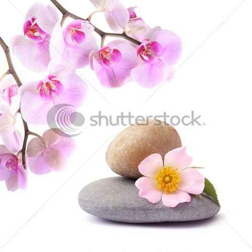 ရင္ဂို - ေတာင္ပံပါရင္မင္းဆီကုိ