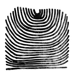 Howl - Pitch Drifting