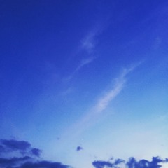 Hummingbird feat. Yuki Shinohara from メゾネットメゾン