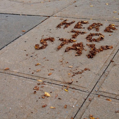 Here To Stay     (snippet)