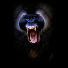 Regressão aos Macacos
