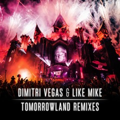 Dimitri Vegas & Like Mike vs Ummet Ozcan - The Hum (Tom Staar & Kryder Remix)