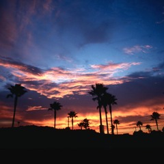Dani California (Red Hot Chili Peppers Cover)