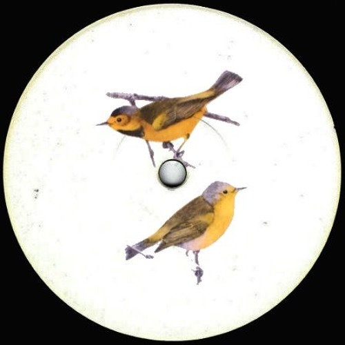 Evo: Habitat |Oxossi Remix| [Free Download]