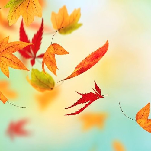 Kommt Der Herbst Mit Bunter Pracht Stream Kommt der Herbst mit bunter Pracht by StuckradSounds | Listen