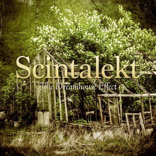 Scintalekt - Mood Machine PREVIEW