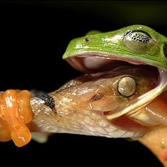 Sex 40 Holiday Danghera Raa.mp3