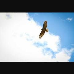 D'Redd Da Kidd- Fly High Remix